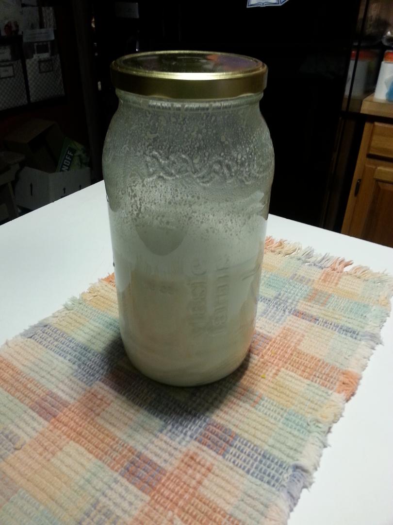 Two quarts of fresh homemade coconut milk