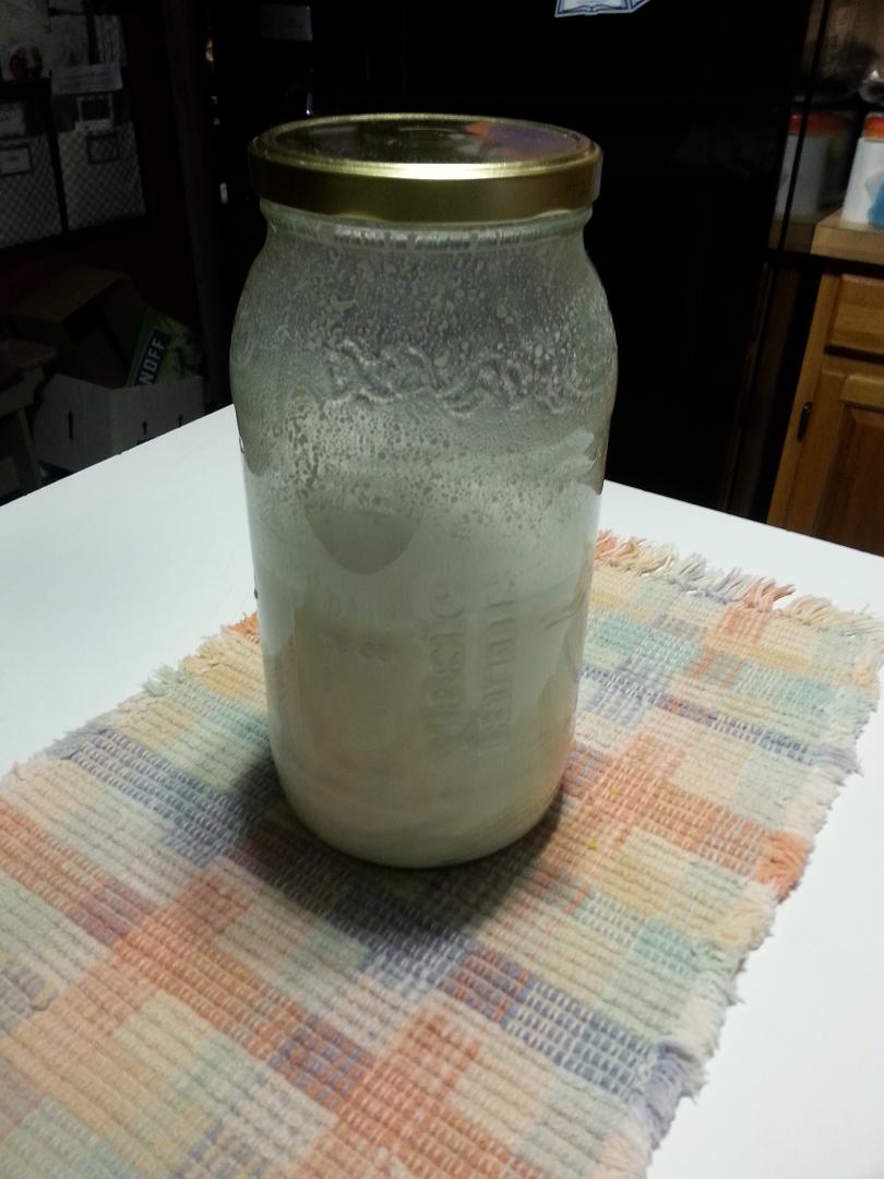 Two quarts of fresh homemade coconut milk Two quarts of fresh homemade coconut milk