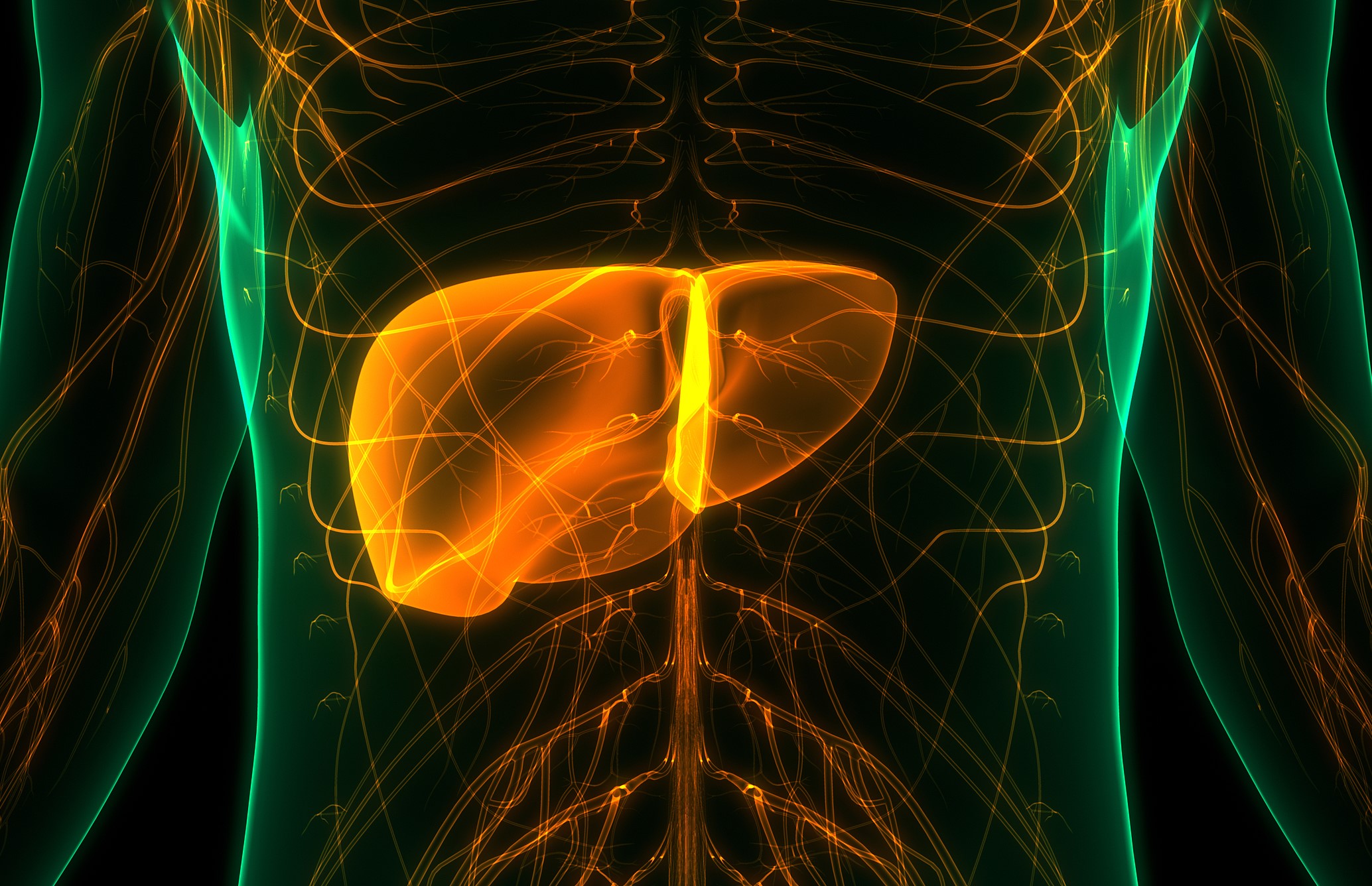 liver picture real